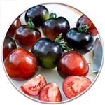 گوجه سیاه (Indigo Tomato)
