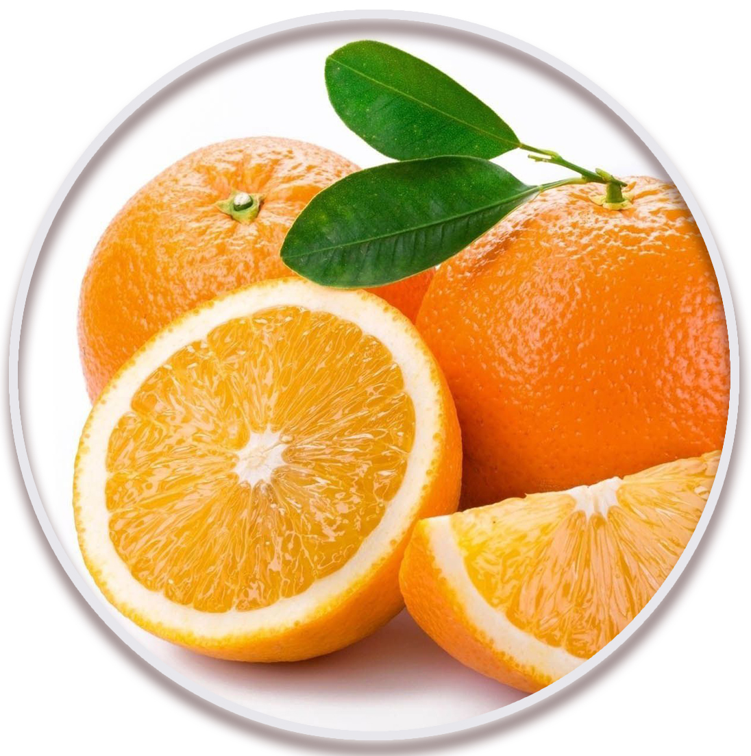 پرتقال تامسون ناول (Thomson Navel Orange)