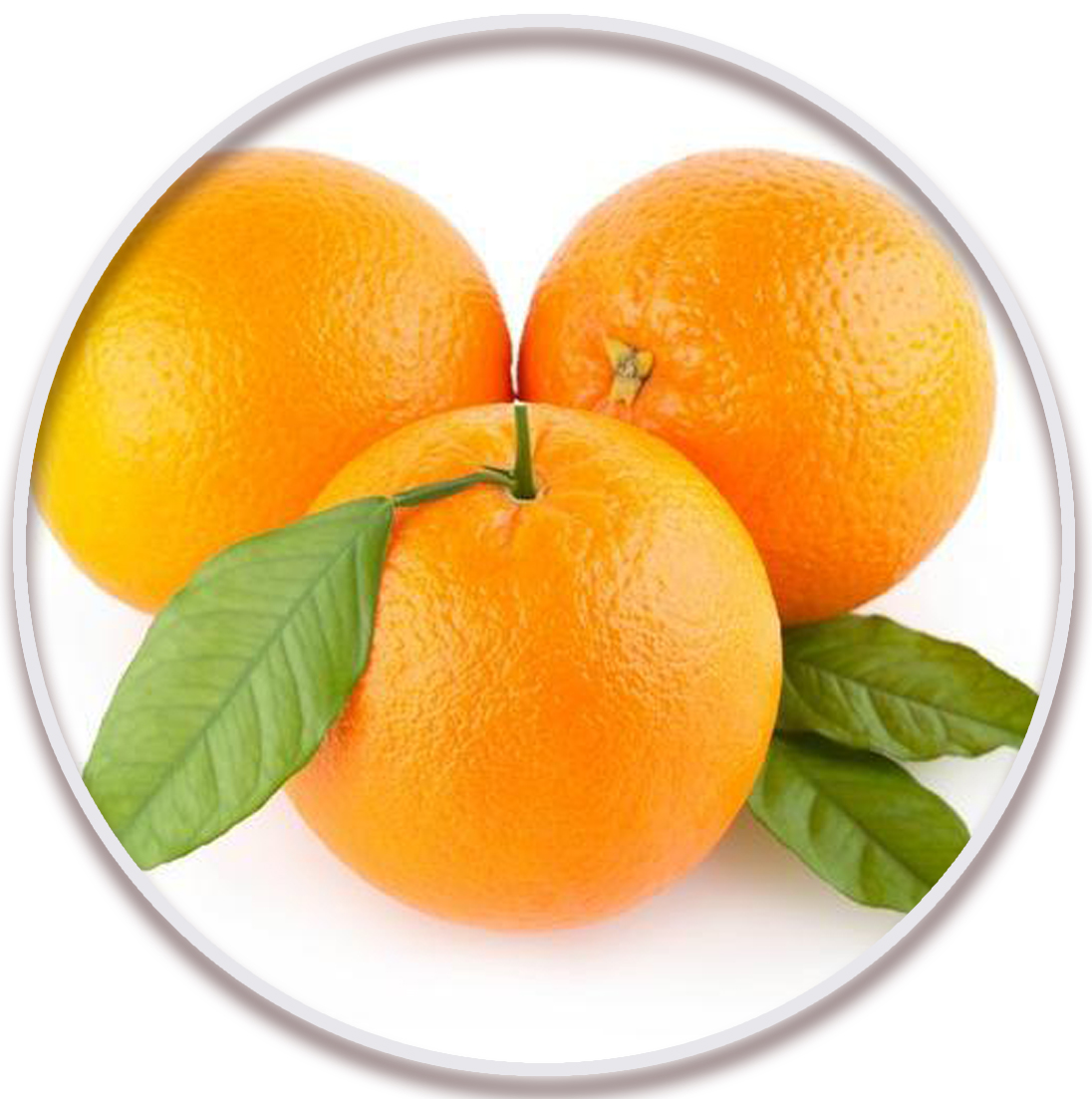 پرتقال سیاورز یا تنکابنی (Siavaraze Orange)