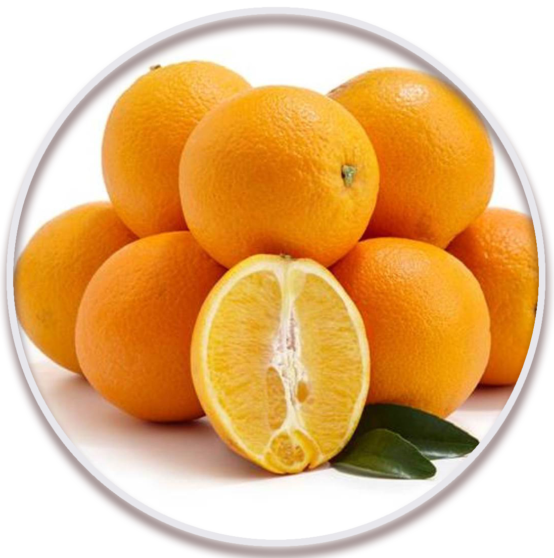 پرتقال شاموتی یا یافا (Shamouti or Jaffa Orange)
