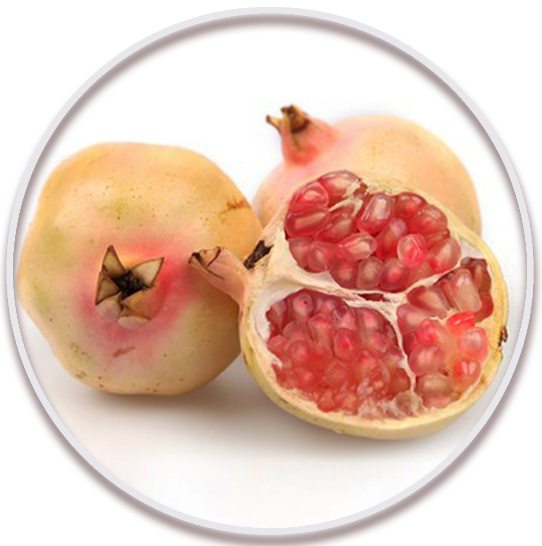 انار شکر بهشهر (Pomegranate)