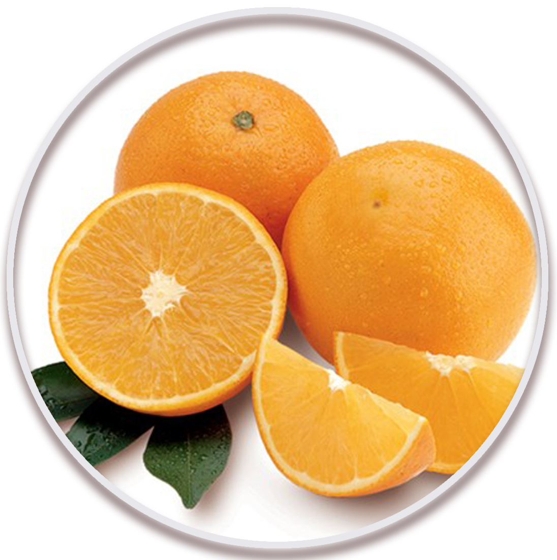 پرتقال والنسیا گوشت سفید (Valencia Orange)
