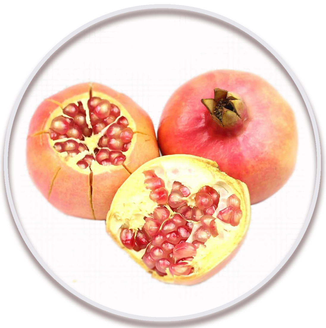انار شیرین بهشهر (Pomegranate)