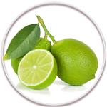 لیمو ترش شیرازی (خوشه ای) (Persian Lemon)