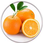 پرتقال فراست ناول (Frost Navel Orange)